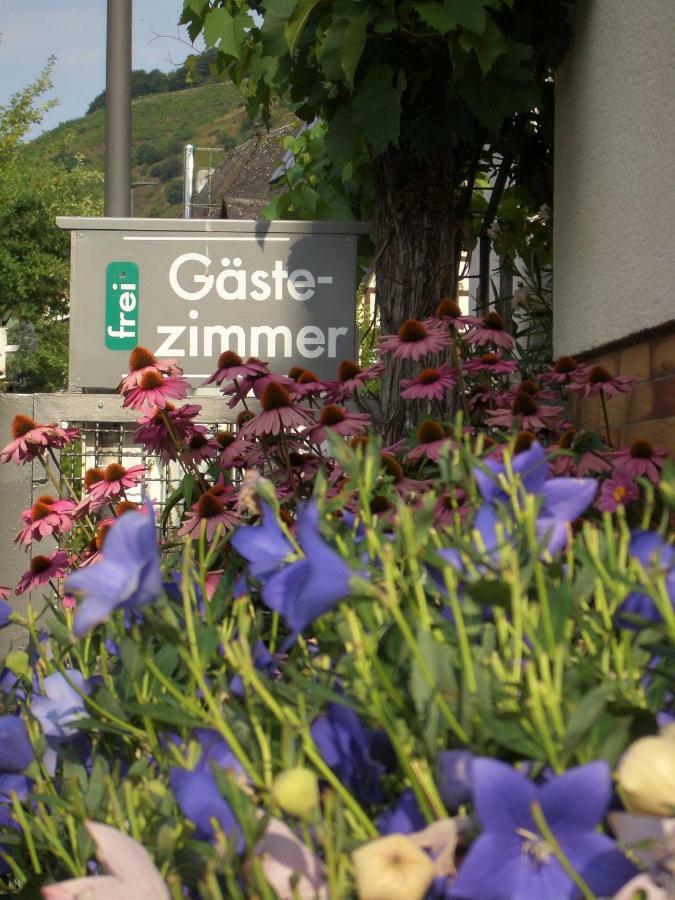 Gaestehaus Weberskirch Ernst Exteriör bild
