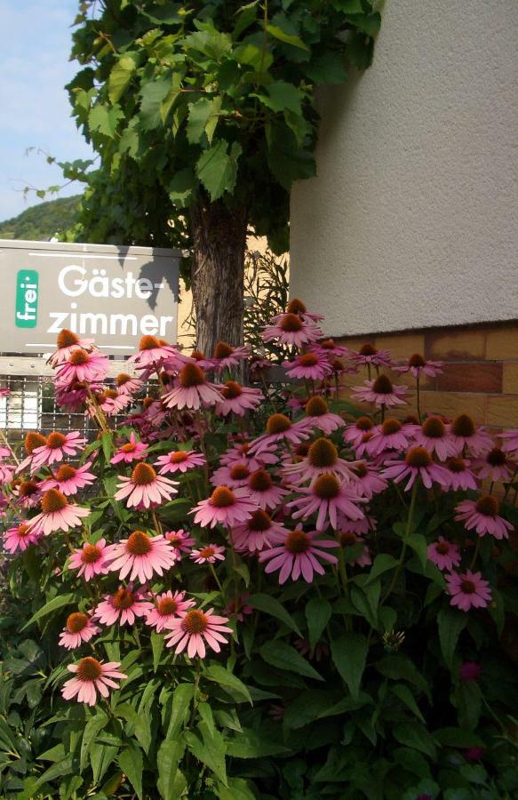Gaestehaus Weberskirch Ernst Exteriör bild